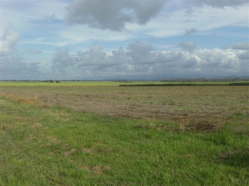 . Scotts Road, Lannercost QLD 4850