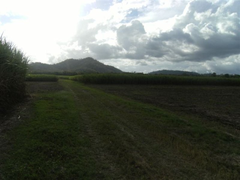 . Scotts Road, Lannercost QLD 4850