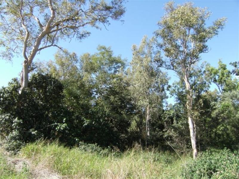 Lt 1 Bruce Highway, Bambaroo QLD 4850