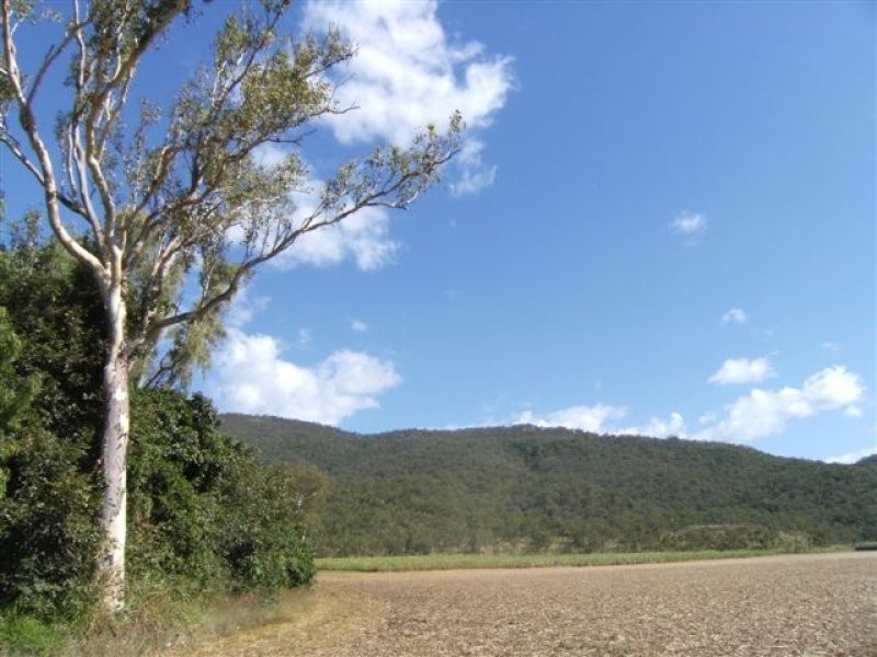 Lt 1 Bruce Highway, Bambaroo QLD 4850