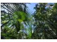 94 Beatts Road, Forrest Beach QLD 4850