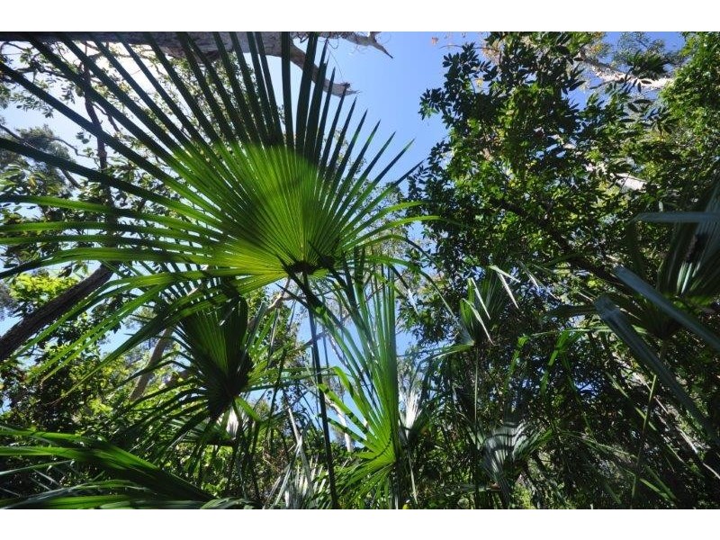 94 Beatts Road, Forrest Beach QLD 4850