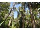 94 Beatts Road, Forrest Beach QLD 4850