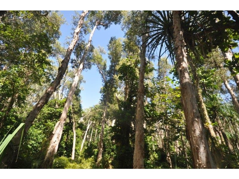 94 Beatts Road, Forrest Beach QLD 4850
