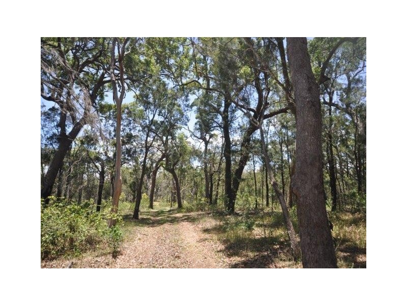 2039 Mount Fox Road, Mount Fox QLD 4850