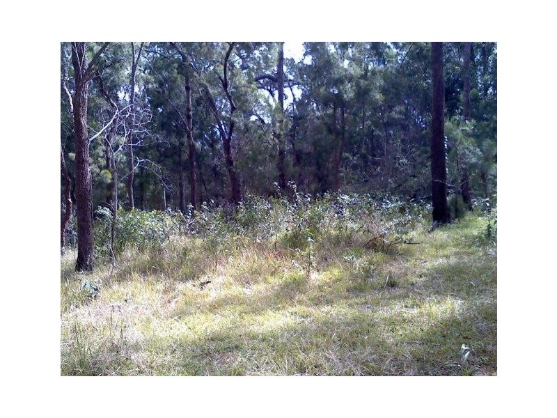 2039 Mount Fox Road, Mount Fox QLD 4850