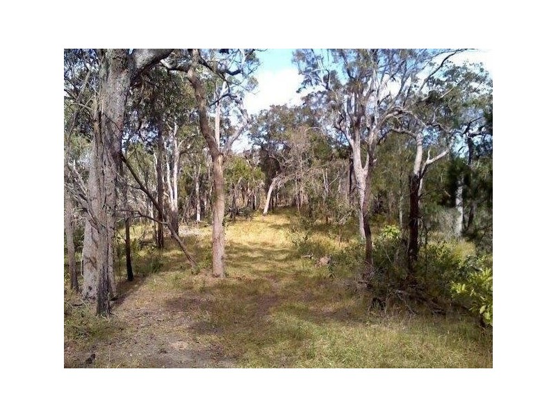 2039 Mount Fox Road, Mount Fox QLD 4850