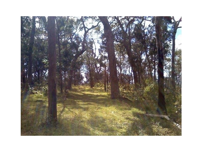 2039 Mount Fox Road, Mount Fox QLD 4850