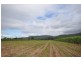 7 Suthers Road, Ingham QLD 4850