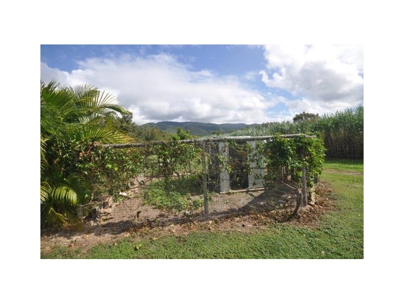 7 Suthers Road, Mutarnee QLD 4816