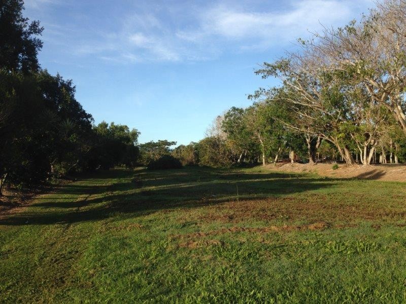 99 McIllwraith Street, Ingham QLD 4850