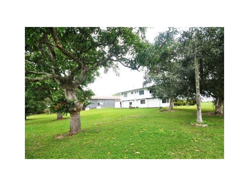 479 Abergowrie Road, Trebonne QLD 4850