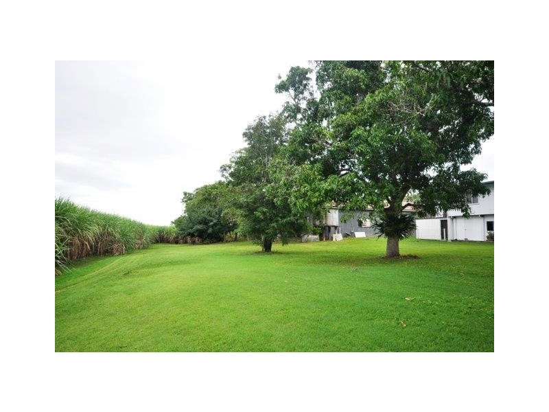 479 Abergowrie Road, Trebonne QLD 4850