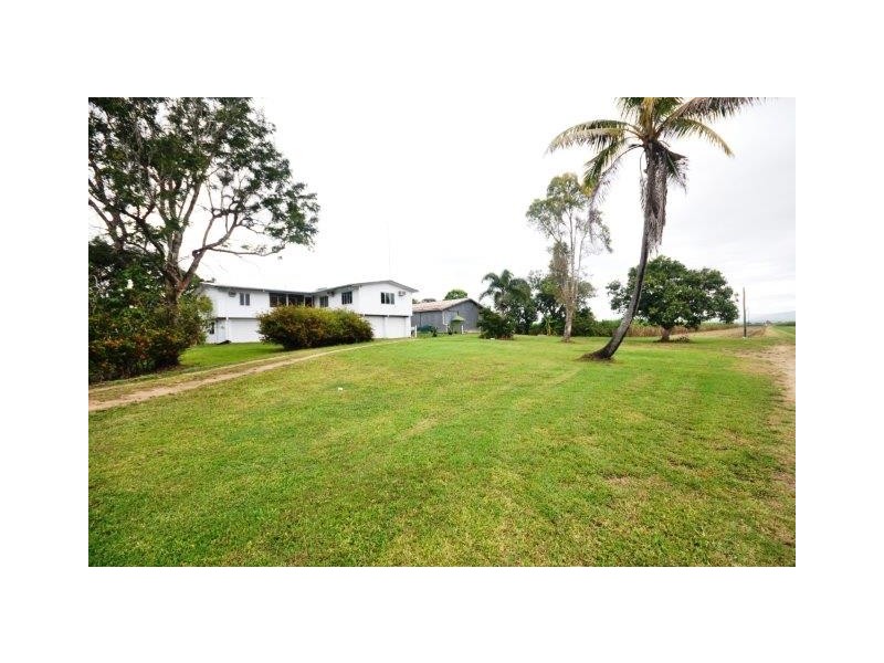 479 Abergowrie Road, Trebonne QLD 4850