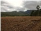 0 Harragon Road, Upper Stone QLD 4850