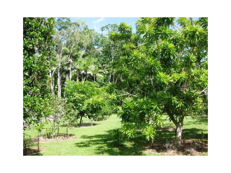 100 Sheahans Road, Ingham QLD 4850