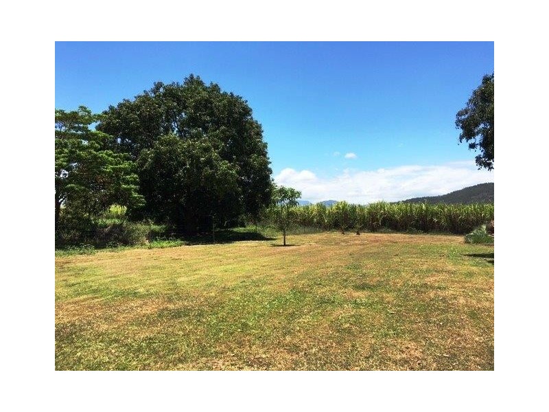 539 Four Mile Road, Ingham QLD 4850