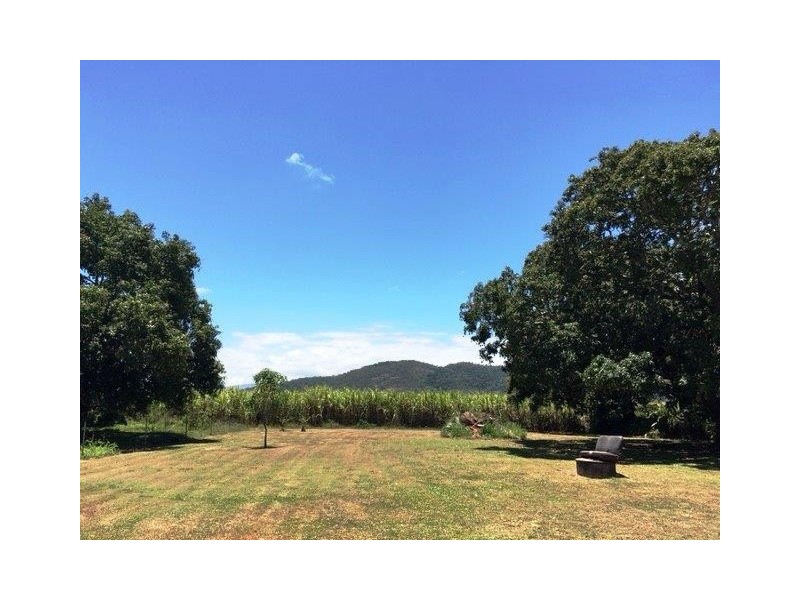 539 Four Mile Road, Ingham QLD 4850