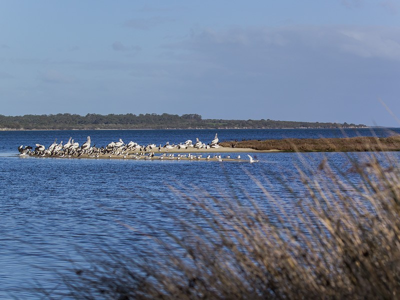 5 Earl Street, Wannanup WA 6210