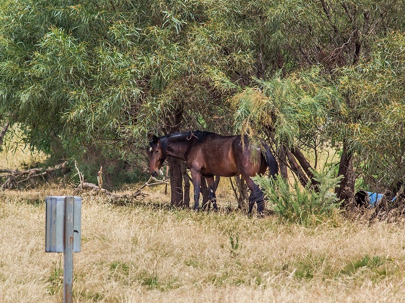 Lot 208 Zaruma Way, West Pinjarra WA 6208
