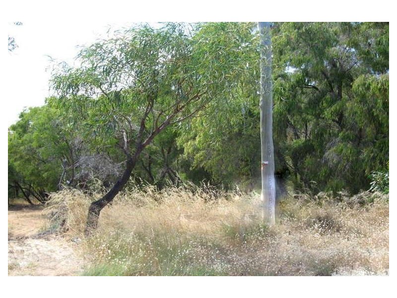 21 (Lot 186) Pioneer, Bouvard WA 6211