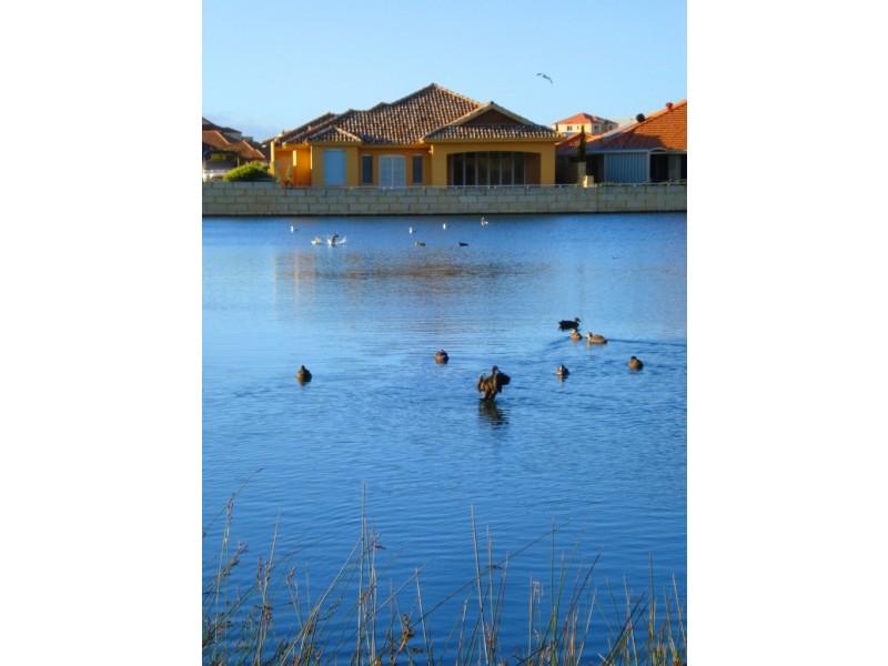 8 Lakeway Retreat, Dawesville WA 6211