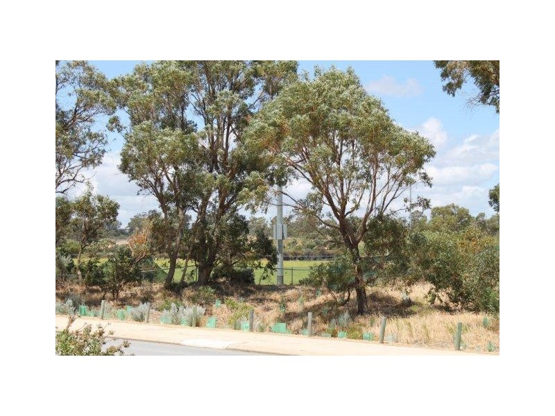 225 Oakmont Avenue, Meadow Springs WA 6210