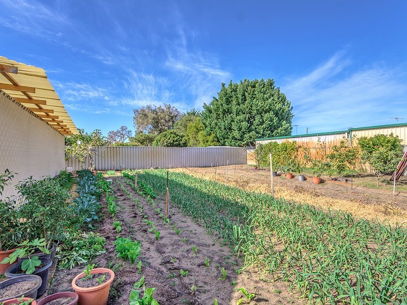 11 Murdoch Drive, Greenfields WA 6210