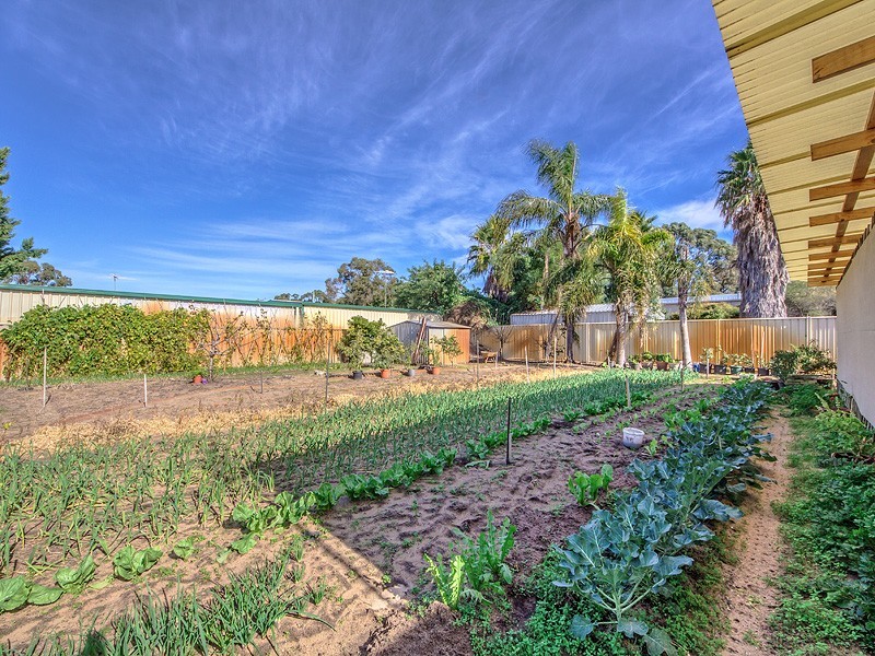 11 Murdoch Drive, Greenfields WA 6210