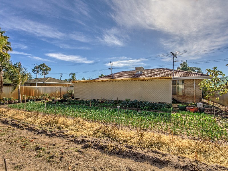 11 Murdoch Drive, Greenfields WA 6210