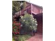 14 Rakoa Street, Falcon WA 6210