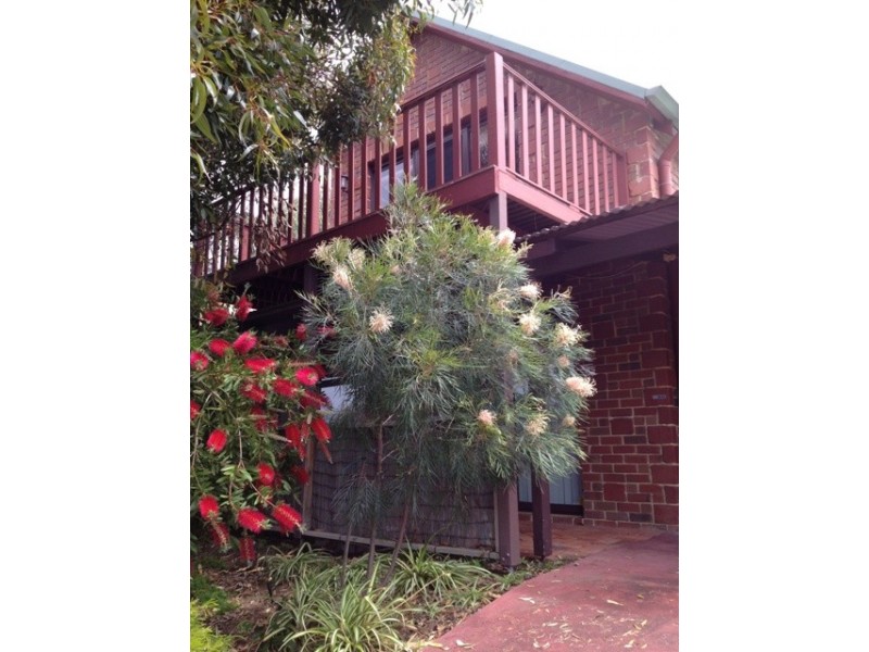 14 Rakoa Street, Falcon WA 6210