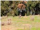 Lot 53 Banbar View, Waroona WA 6215