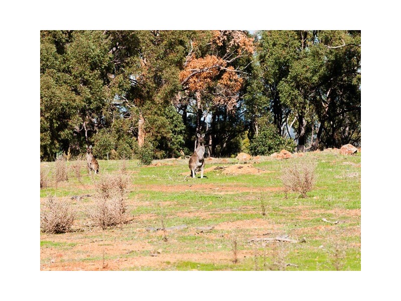 Lot 53 Banbar View, Waroona WA 6215