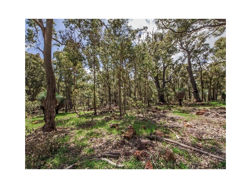 54 Leavy Road, Waroona WA 6215