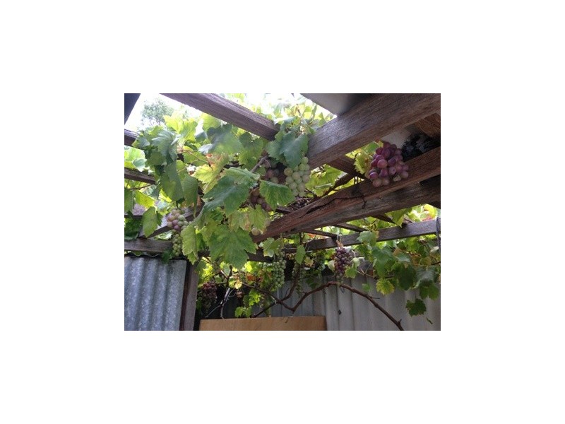 92 Allnutt Street, Mandurah WA 6210