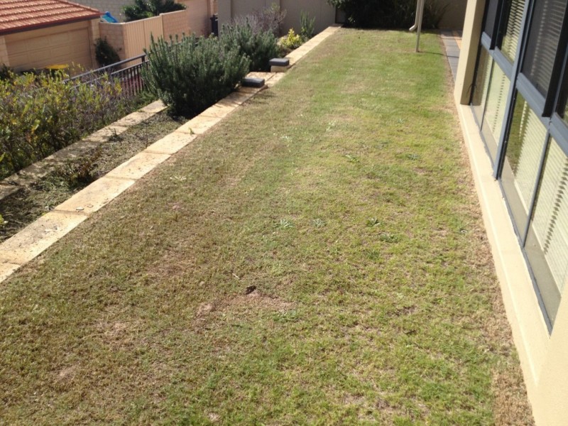 9 Masthead Way, Wannanup WA 6210