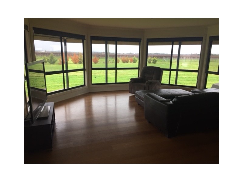584 MORRIS ROAD, Lake Wyangan NSW 2680