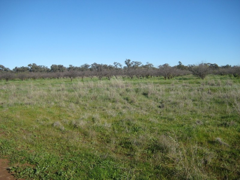 Narrandera NSW 2700