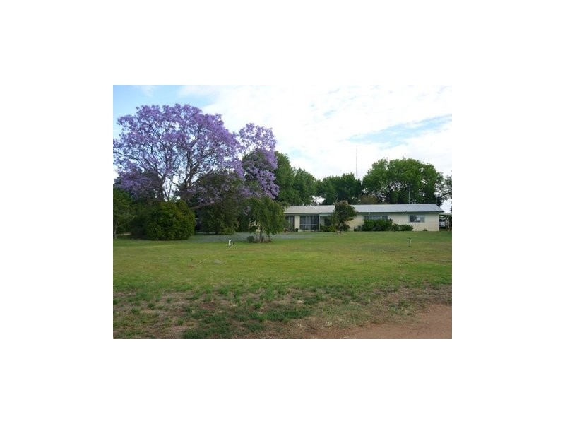 Farm 1021 Pine Drive, Coleambally NSW 2707