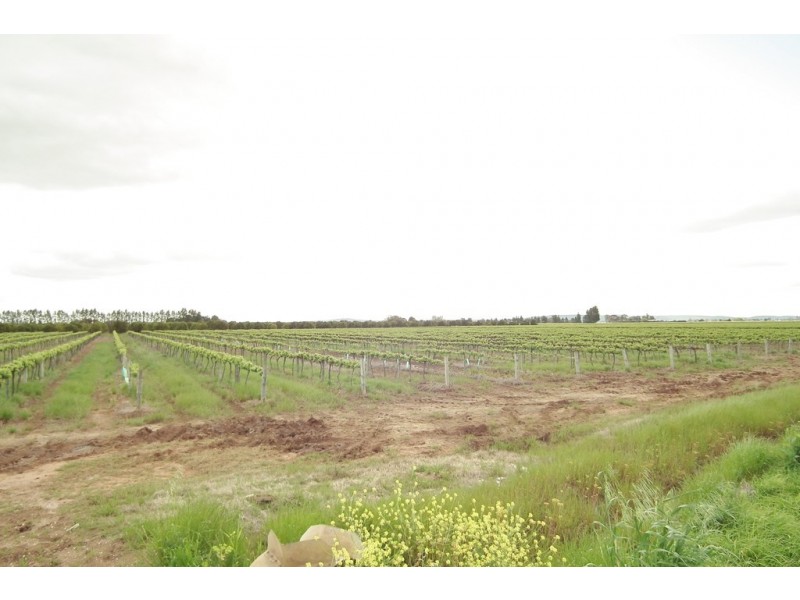 1355 Rodgers Road, Yenda NSW 2681