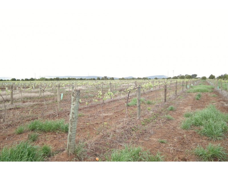 1355 Rodgers Road, Yenda NSW 2681