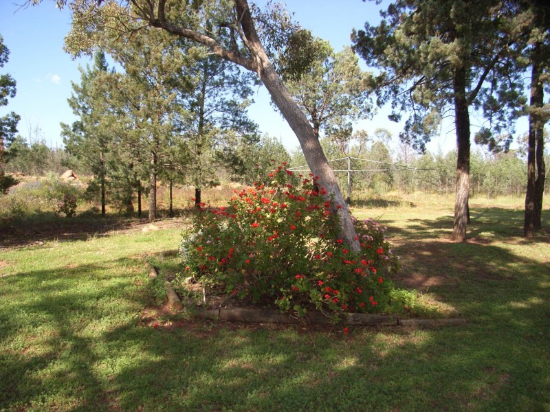 221 Mallinson, Lake Wyangan NSW 2680