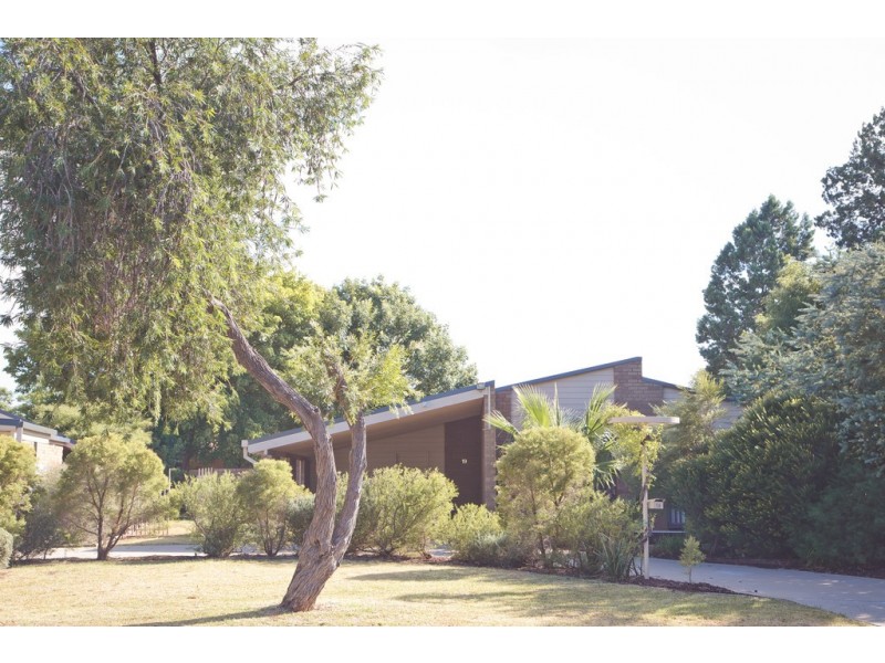 19 Webster Street, Griffith NSW 2680