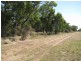 Lot 1, 58 Davidson Road, Whitton NSW 2705