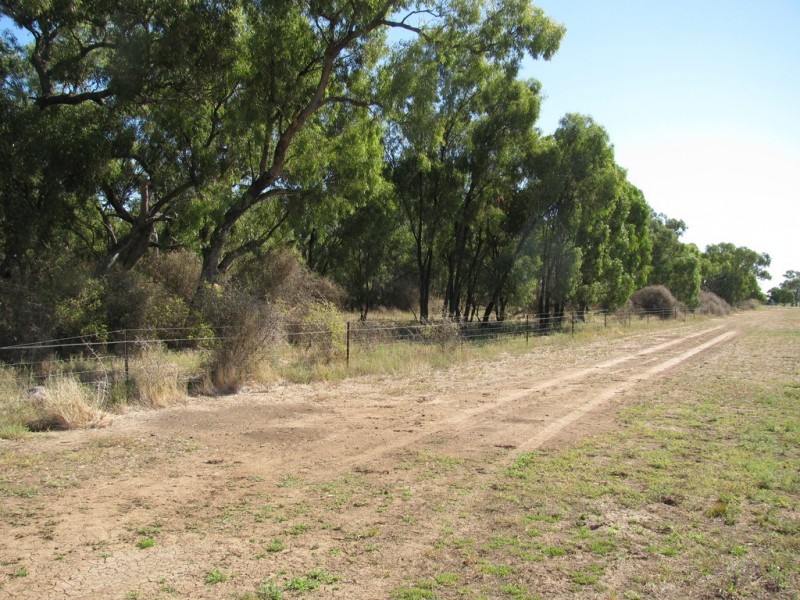 Lot 1, 58 Davidson Road, Whitton NSW 2705