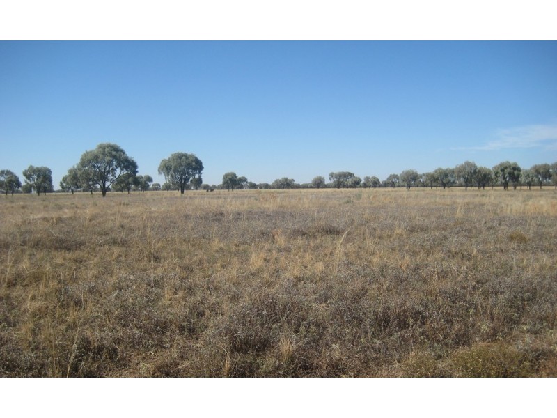 “Wilga” McKinley Road, Hillston NSW 2675
