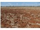 “Wilga” McKinley Road, Hillston NSW 2675