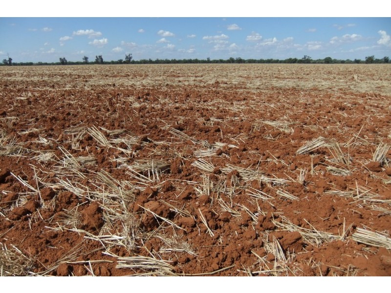 “Wilga” McKinley Road, Hillston NSW 2675