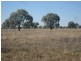 “Wilga” McKinley Road, Hillston NSW 2675